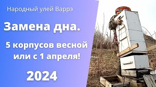 Народный улей Варрэ. Замена дна