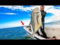 100 POUND Giant Trevally Spearfishing?  Won't believe what was in his mouth!