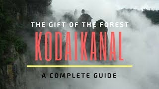 Kodaikanal - The Gift of the Forest