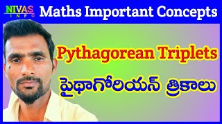 Pythagorean Triplets | Math's Important Concepts | All Competitive Exams | Nivas Info