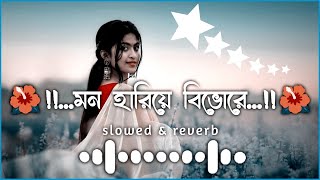 Mon Hariye Beghore-(slowed+reverb) Bangla Lofi Song #banglasong #slowedreverb