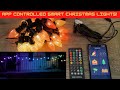 App Controlled Smart Christmas Lights Review