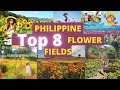 TOP 8 FLOWER FIELDS IN THE PHILIPPINES