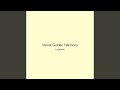 Velvet Golden Harmony