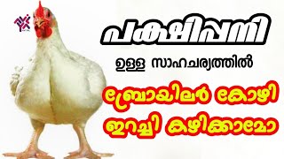 ബ്രോയിലർ കോഴി ഇറച്ചി കഴിക്കാമോ | പക്ഷിപ്പനി | Avian flu | Aviyal Media by Das Pakkat