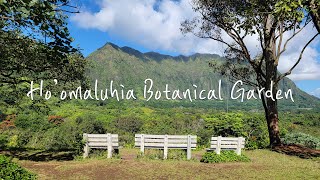 Hawaii Nature | Hoomaluhia Botanical Garden Healing and Refreshing Drive 🌴 Hawaii 4K Driving