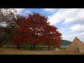 2020 田貫湖の秋 4k autumn colors at lake tanuki uhd