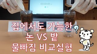 흙의 구조와 물빠짐 비교실험(강원도농산물원종장)