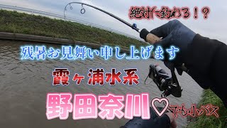 霞ヶ浦水系　野田奈川　【絶対釣れる！？】【子バス♡】残暑厳しいバス釣り釣行！！