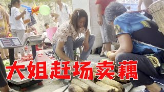 大姐赶场卖藕，刚开始生意还不错，到后面越来越难了【乡村大姐】