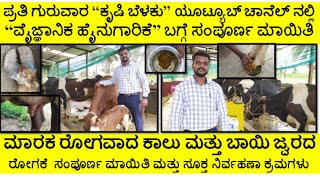 ರೈತರೇ ಎಚ್ಚರ...! ಎಚ್ಚರ...! ಈ ರೋಗ ಬಂದರೆ ಹೈನುಗಾರಿಕೆಯಲ್ಲಿ ತುಂಬಾ ನಷ್ಟ ಉಂಟಾಗುತ್ತದೆ