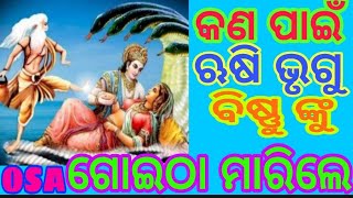 ଋଷି ଭୃଗୁ କଣ ପାଇଁ ଭଗବାନ ବିଷ୍ଣୁ ଙ୍କୁ ଗୋଇଠା ମାରିଲେ ? WHY SAGE BHRIGU KICKED LORD VISHNU IN ODIA ?