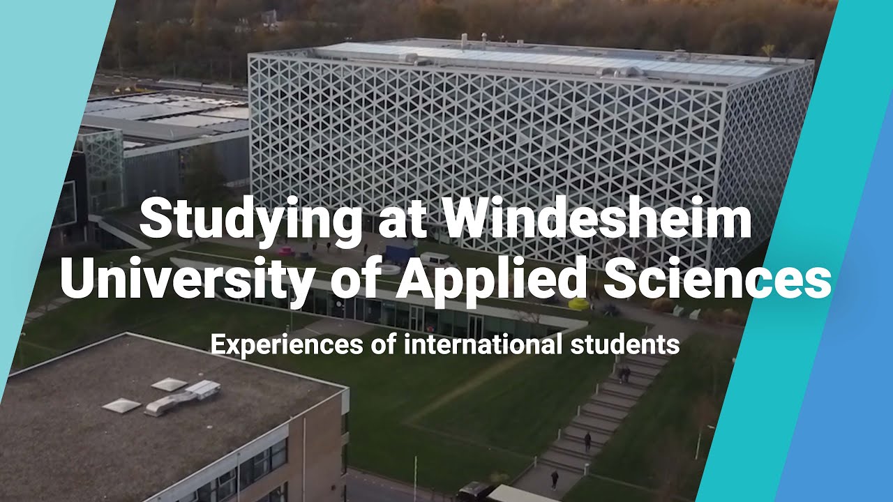 How Do International Students Experience Studying At Windesheim ...