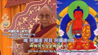 阿彌陀佛長咒 （無量光佛）Amitabha འོད་དཔག་མེད་ཀྱི་མཚན་སྔགས अमिताभ 아미타불 阿弥陀如来（あみだにょらい）พระอมิตาภพุทธะ A Di Đà Phật