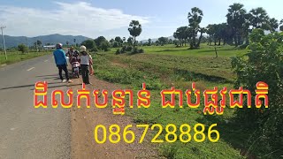 ដីលក់បន្ទាន់ជាប់ផ្លូវកៅស៊ូ