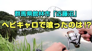 【近藤沼】ヘビキャロでまさかの魚が！