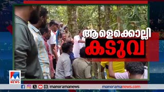 കണ്‍മുന്നിലെത്തിയാല്‍ കടുവയെ പിടികൂടും; പൂര്‍ണസജ്ജമായി വനംവകുപ്പ് | Wayanad