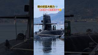 眼の前巨大戦力🐳最大級〜最新鋭まで🫡