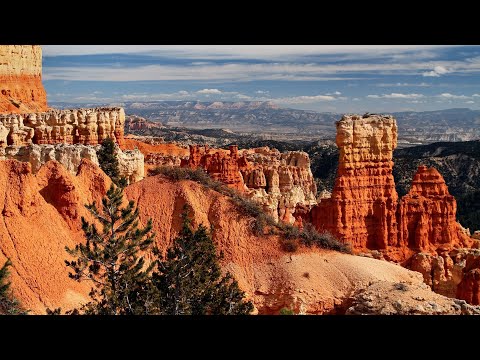 What climate does mechanical weathering occur?