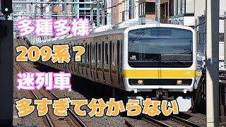 【迷列車で行こう ほぼ日編第29日】もはやなんだかわからない209系