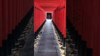 番外編：神社にて、お稲荷さんの鳥居をくぐり抜ける動画  #神社 #鳥居 #稲荷