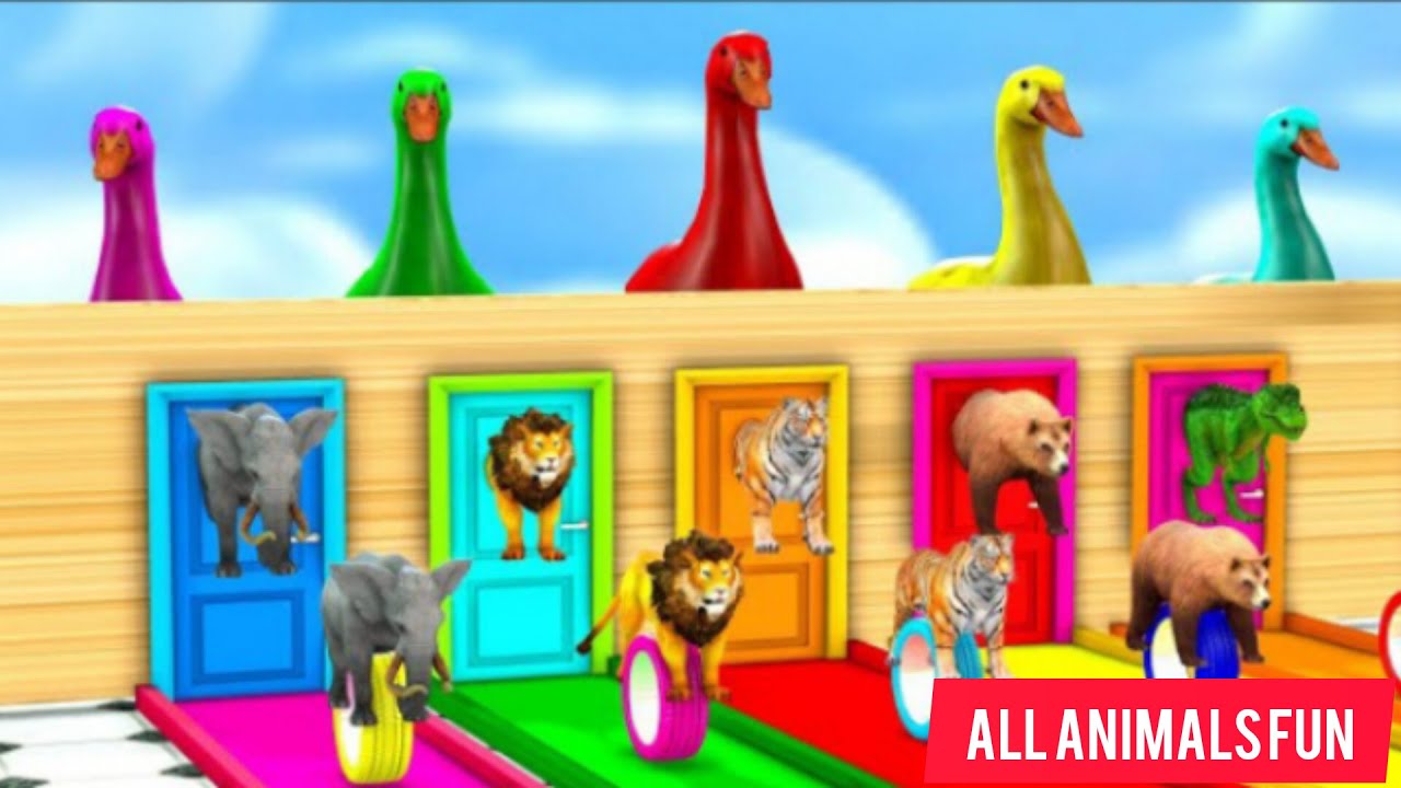 Funny Animals For Kids Youtube