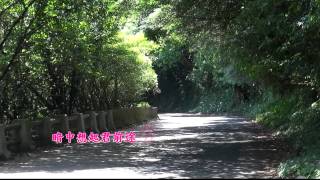 台灣ㄟ老歌《送君情淚》陳芬蘭 演唱