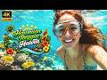 Hawaiian Reggae Heaven 🏝️⛲ Lighthearted Island Rhythm & Ocean Air