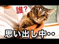 【感動】半年ぶりの再会 大好きな兄ちゃんを思い出し 喜び甘える猫