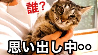 【感動】半年ぶりの再会 大好きな兄ちゃんを思い出し 喜び甘える猫