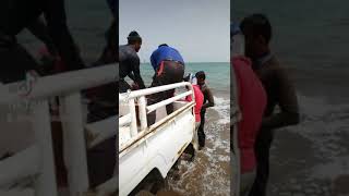 Natholi Fish Cought fujairah sea | നത്തോലി ചെറിയ മീനല്ല മക്കളേ