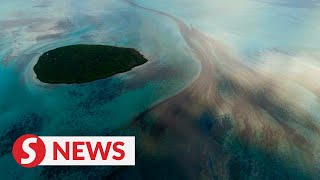 Mauritius facing 'ecological disaster' from oil spill