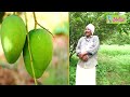 ఆదర్శ టీచర్ అద్భుత farming model goureshwara rao