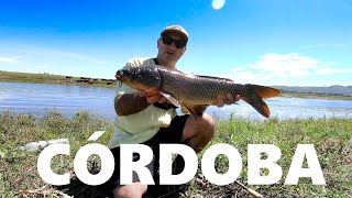 ENCONTRÉ RÍO CON MILES DE PECES, Pescando en Córdoba, carpfishing, PESCA URBANA