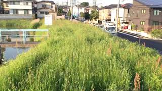 明石市魚住町 長坂寺   溜池からの淡路島