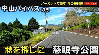 秋の気配探し　中山バイパス　たわわタウン谷山　R慈眼寺駅　慈眼寺公園　GoPro 　鹿児島ドライブ　おまかせテレビ　2209-8