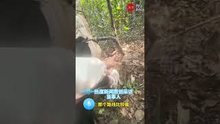 女子上山徒步踩中捕兽夹， 所幸不是带齿的未受伤， 自行将螺丝拧开后脱困