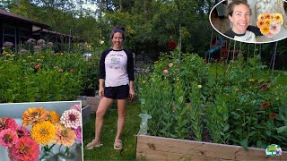 July Garden Tour Part 2! Floret Original Zinnias Have Bloomed! Harvesting Cut Flowers for Bouquets!