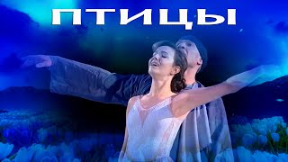 ПТИЦЫ