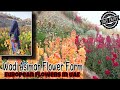 WadiAsimahFlowerFarm|Travelvlog|Ep23|Malayalam|RIZSPASSIONHUB