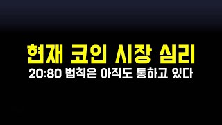 현재 코인 시장 심리와 개인 의견 | 20:80 파레토 법칙은 아직도 통하고 있다.