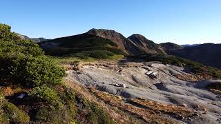 秋の弓折岳の雄雷鳥６