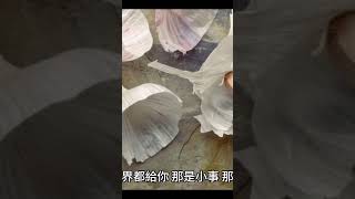 如何堅定往生西方極樂世界的心？