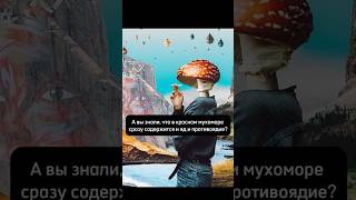 Из покон веков его использовали🤯 #грибы #факты #ежовик #мухомор #история #здоровье #микродозинг