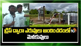 Fertilizers Through Drip System | డ్రిప్ ద్వారా ఎరువులు అందించడంలో మెళకువులు | Matti Manishi | 10TV