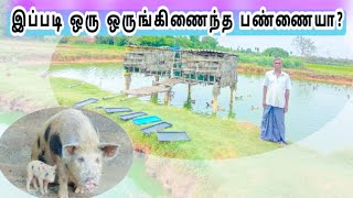 செலவை குறைக்கும் ஒருங்கிணைந்த பண்ணை! கோழி, பன்றி, மீன், வாத்து, மாடு, விவசாயம்!
