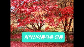 강원도 원주 치악산 산책. A walk on Chiaksan Mountain in Wonju, Gangwon Province