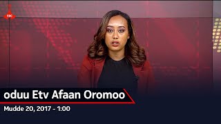 oduu Etv Afaan Oromoo, Mudde 20, 2017 - 1:00 etv |Ebc  |Etv Afaan Oromoo| oduu