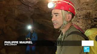 France's Sainte-Baume, a lush oasis in the heart of Provence • FRANCE 24 English