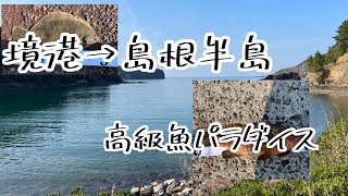 【境港→島根半島釣り歩き】ボトムを取ればそこは高級魚パラダイスだった！【ヘチ釣り】